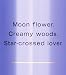 Victoria’s Secret Midnight Bloom Body Mist 250ml – Warm Floral Fragrance Mist for Women with Soft Amber & Moonlit Woods