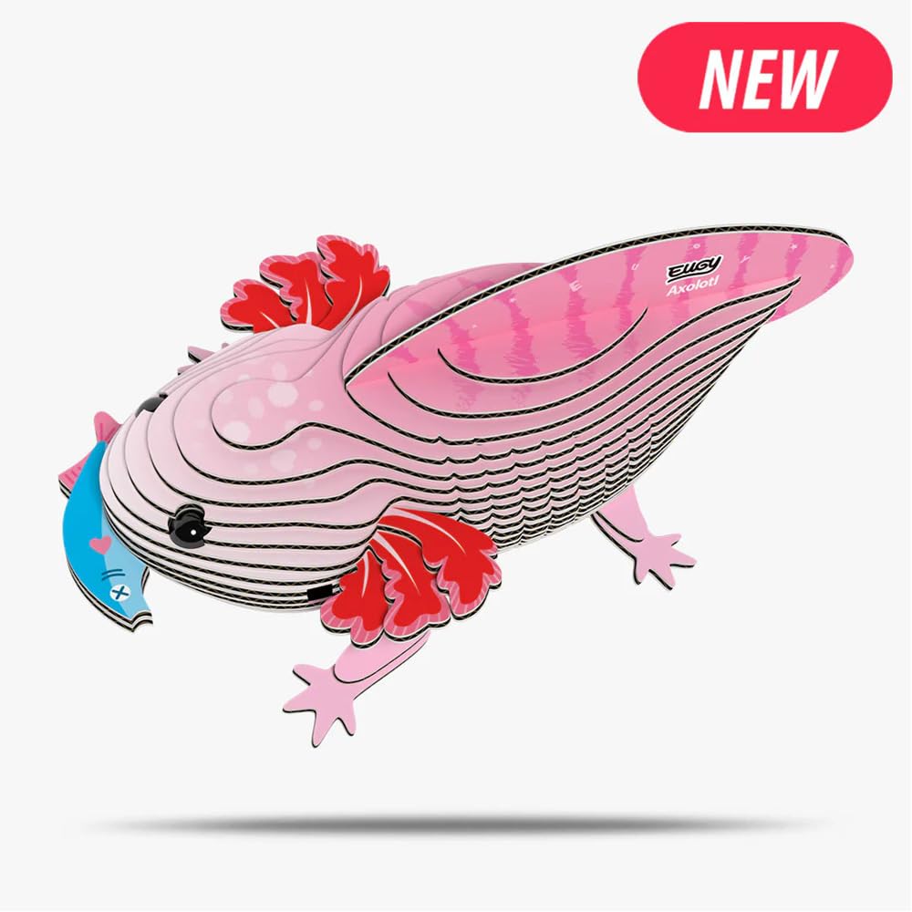 EUGY 3D Cardboard Model Kit, Pink Axolotl, Educational DIY Craft Project for Ages 6+, Award-Winning Design