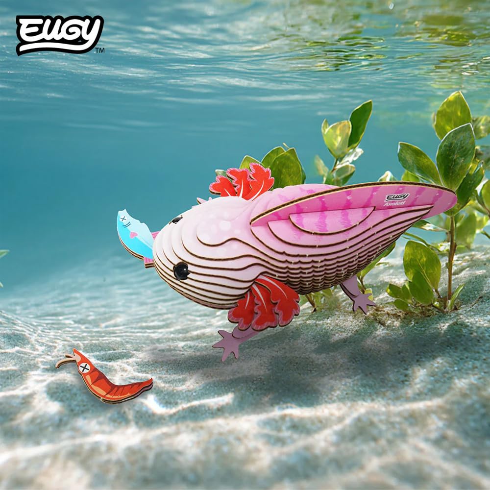 EUGY 3D Cardboard Model Kit, Pink Axolotl, Educational DIY Craft Project for Ages 6+, Award-Winning Design