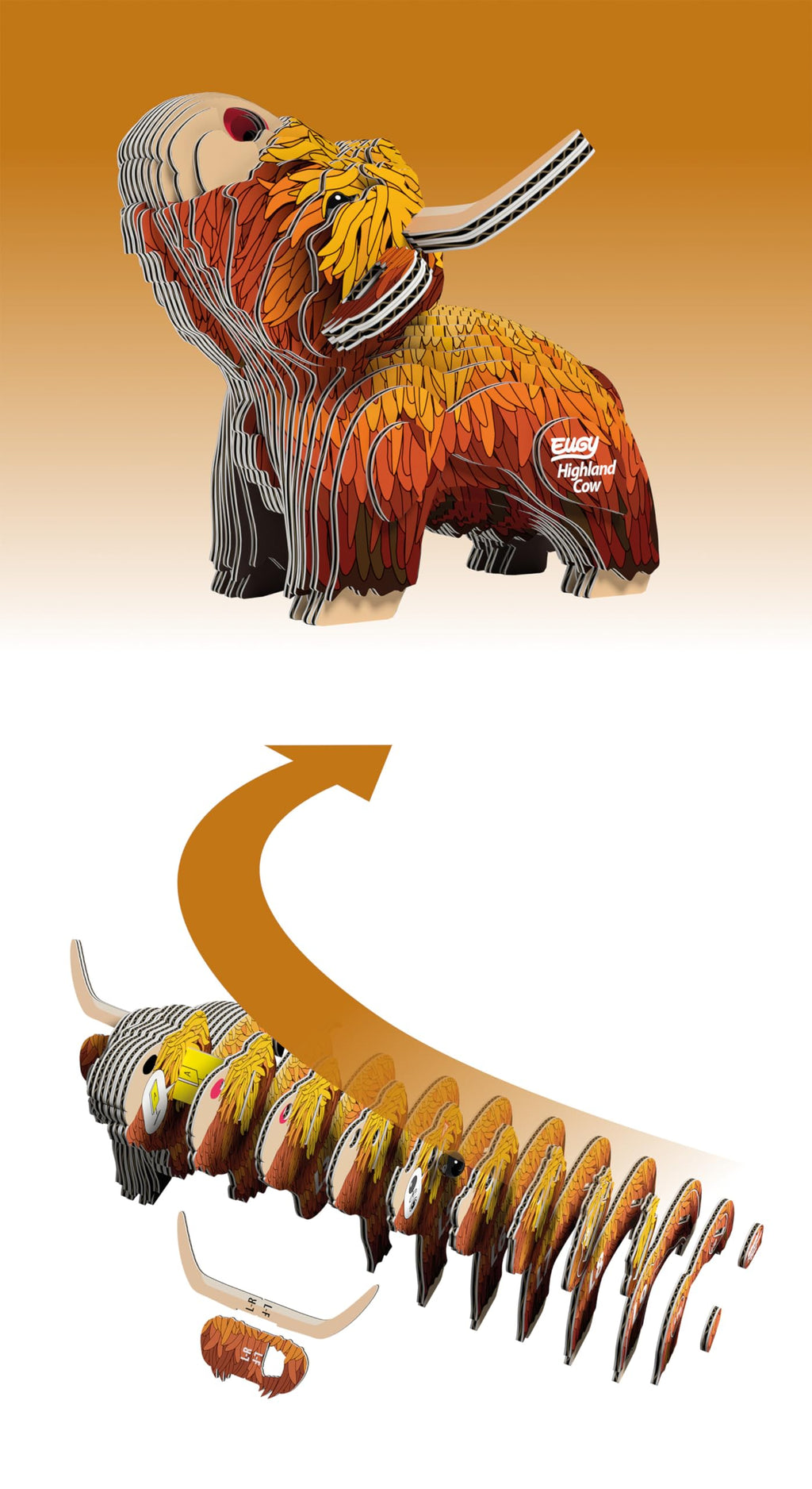 EUGY Highland Cow